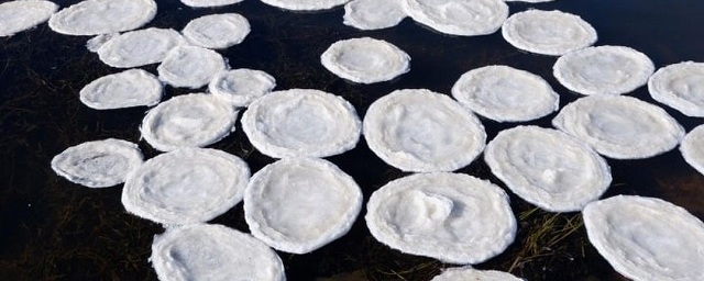 Гидролог Биробиджана: «Снежные блины» на реке Бира являются естественным процессом